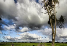 猛龙新援表现出色，球队士气大增